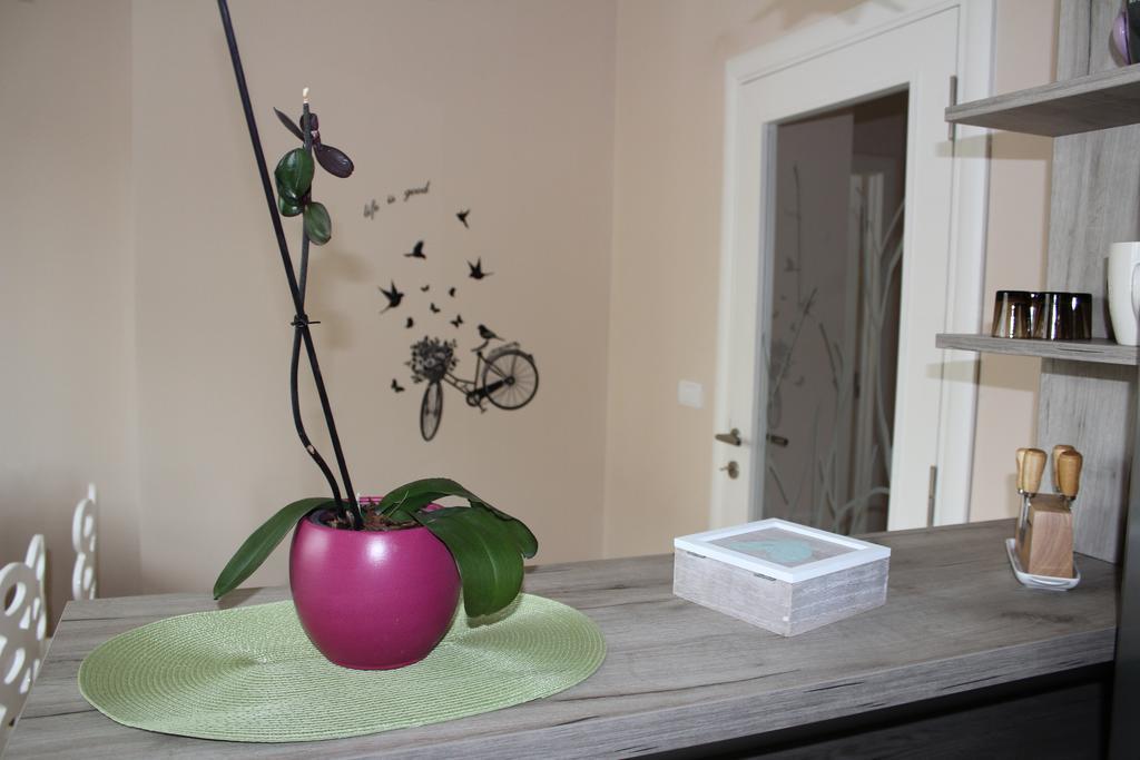 ベオグラードOrchid Houseアパートメント エクステリア 写真